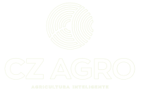 Design-sem-nome-60-e1670940727549.png